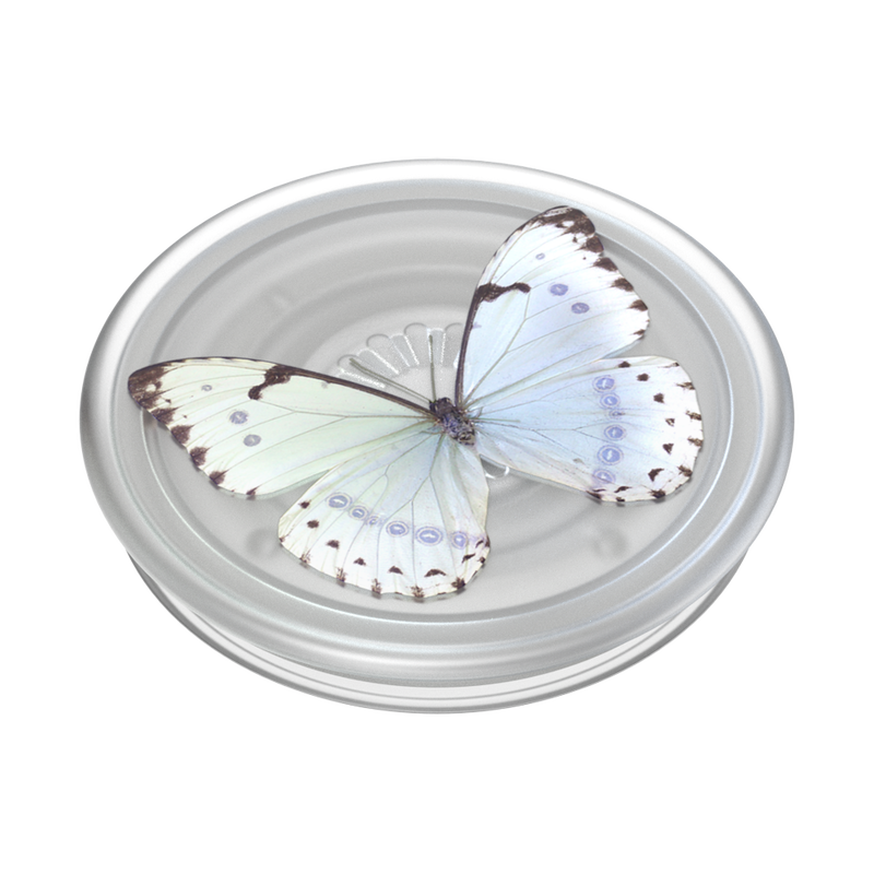 PlantCore Whisper Moth — Adhesive PopGrip image number 2