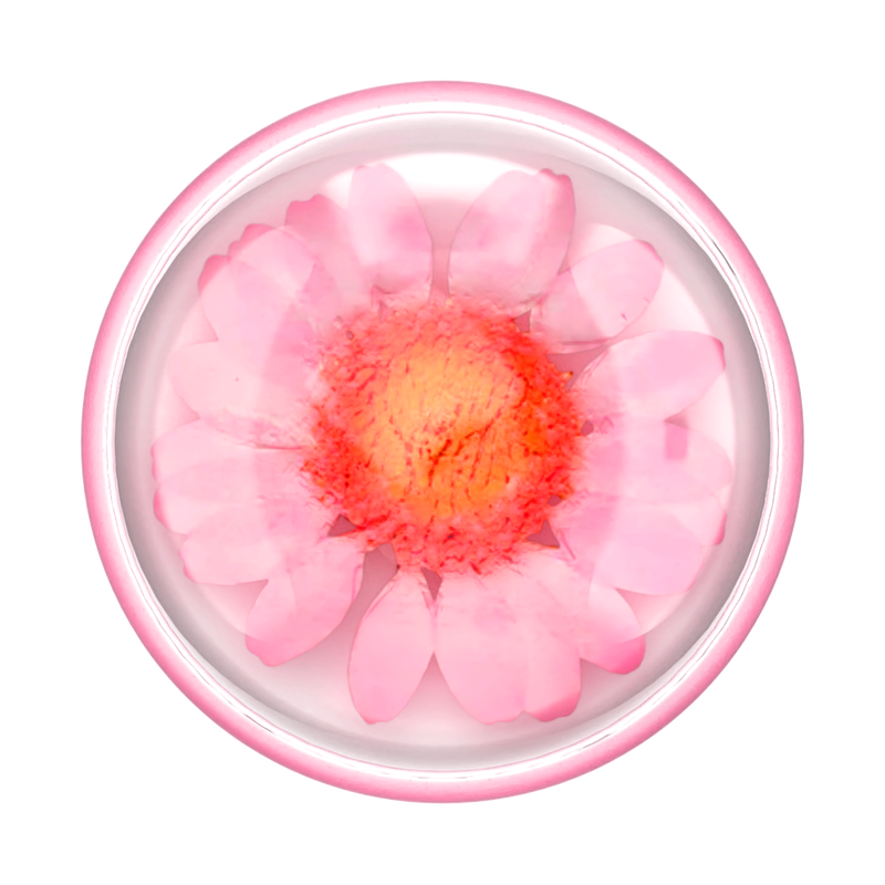 Pressed Flower Globe Pink Daisy