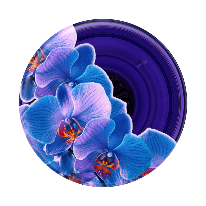 Translucent Dark Orchid — Adhesive PopGrip image number 1