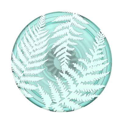 Secondary image for hover PlantCore Fern