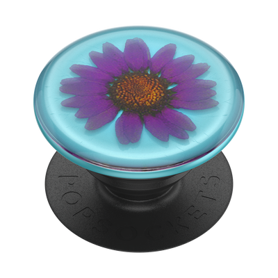 Secondary image for hover Pressed Flower Purply Daisy