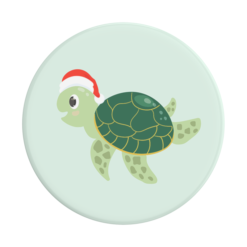 Santa Turtle