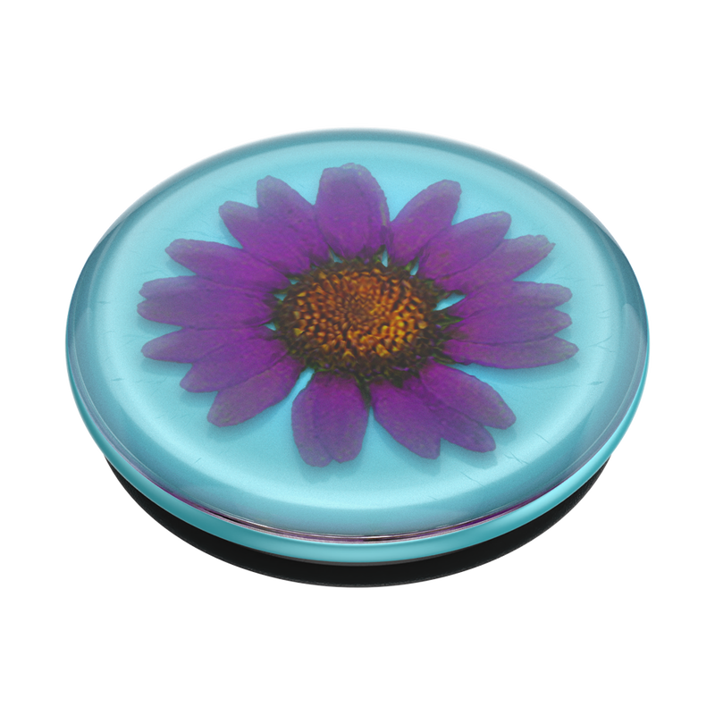 Pressed Flower Purply Daisy image number 3